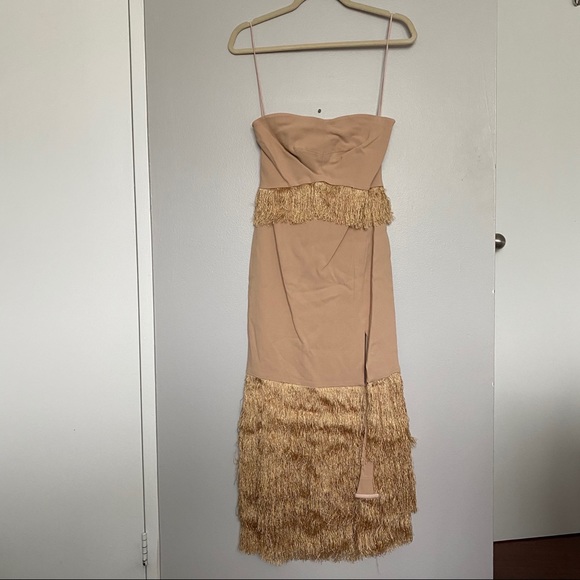 Jonathan Simkhai FW 2016 Nude Fringe Strapless Dress - Picture 4 of 9